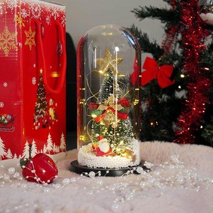 Imaginea din Decoratiune luminoasa de Craciun