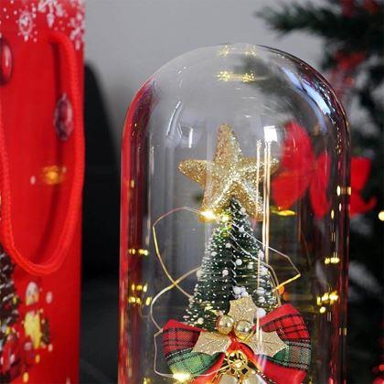 Imaginea din Brad de Crăciun luminos într-o vază de sticlă, împachetat cadou