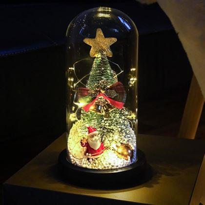 Imaginea din Decoratiune luminoasa de Craciun
