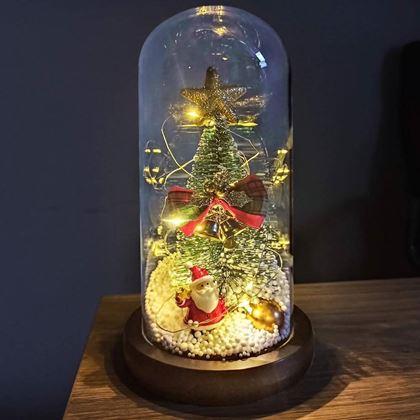 Imaginea din Brad de Crăciun luminos într-o vază de sticlă, împachetat cadou