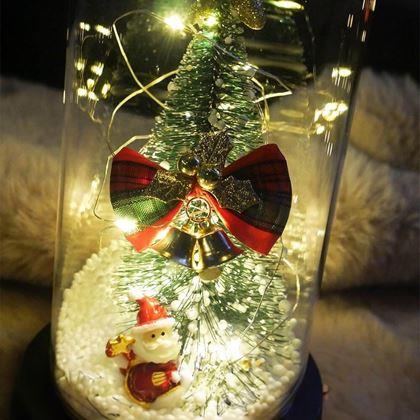 Imaginea din Brad de Crăciun luminos într-o vază de sticlă, împachetat cadou