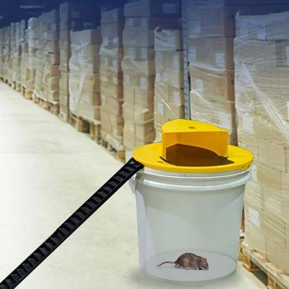 Imaginea din Capac pentru găleată cu capcană pentru șoareci