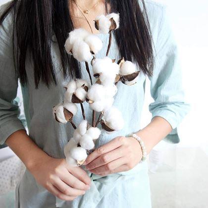 Imaginea din Ramură artificială de bumbac 50 cm