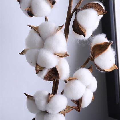 Imaginea din Ramură artificială de bumbac 50 cm