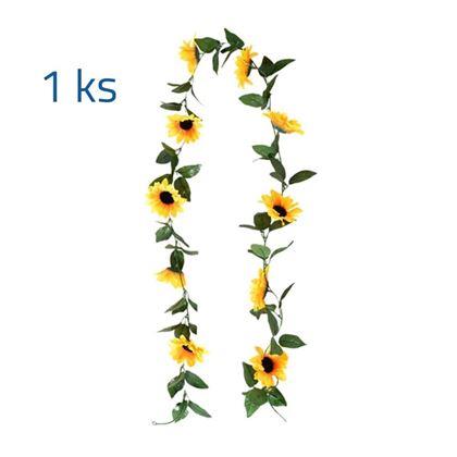 Imaginea din Ghirlandă cu floarea soarelui