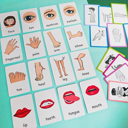 Imaginea din Set de 36 carduri educative în limba engleză -  părți ale corpului