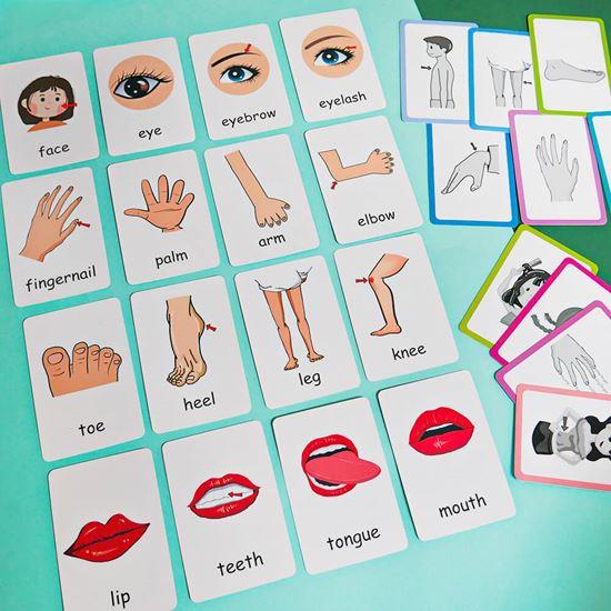 Imaginea din Set de 36 carduri educative în limba engleză -  părți ale corpului