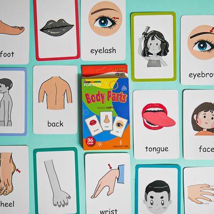 Imaginea din Set de 36 carduri educative în limba engleză -  părți ale corpului