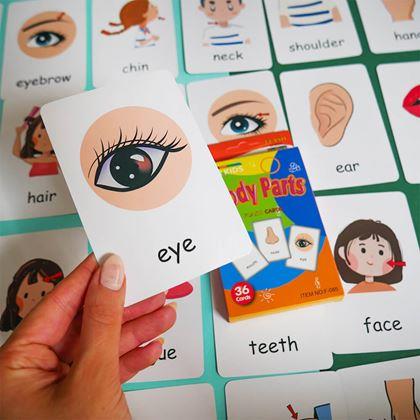 Imaginea din Set de 36 carduri educative în limba engleză -  părți ale corpului