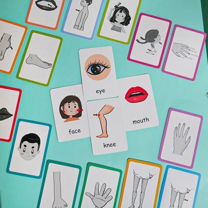 Imaginea din Set de 36 carduri educative în limba engleză -  părți ale corpului