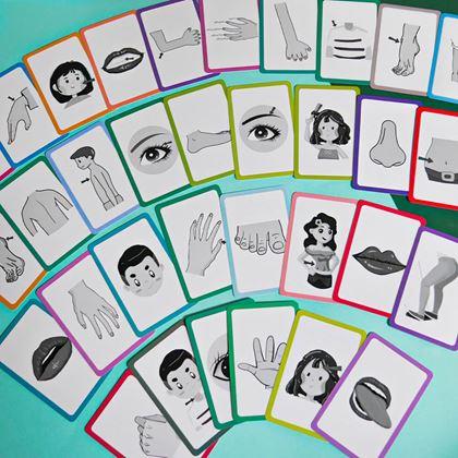 Imaginea din Set de 36 carduri educative în limba engleză -  părți ale corpului