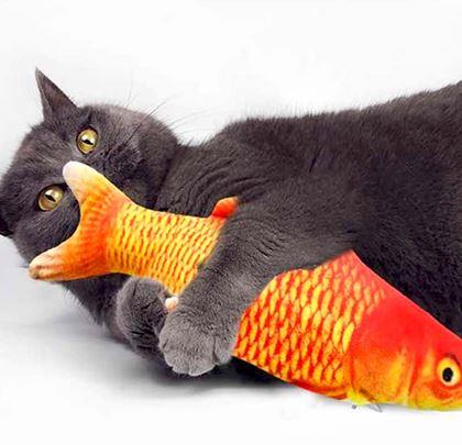 Imaginea din Jucărie interactivă pentru pisici - pește