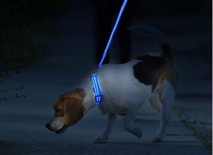 Imaginea din Zgardă luminoasă - albastru S