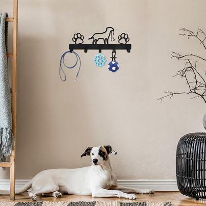 Imaginea din Kovový věšák na vodítka