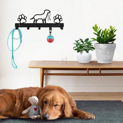 Imaginea din Kovový věšák na vodítka