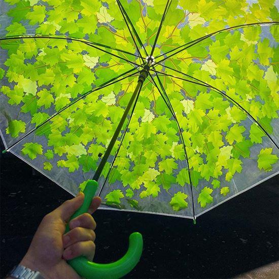 Imaginea din Umbrela transparentă - frunze verzi