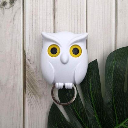 Imaginea din Suport pentru chei magnetică  -  bufniță albă