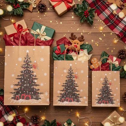 Imaginea din Geantă de Crăciun - mărimea M - brăduț