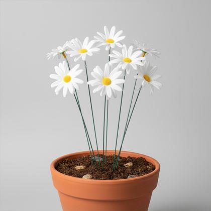 Imaginea din Decor pentru grădină/ghiveci margaretă 10 buc