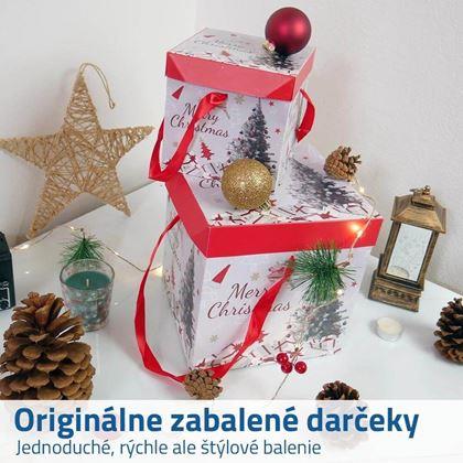 Imaginea din Cutie de cadou 22 cm  -  roșie