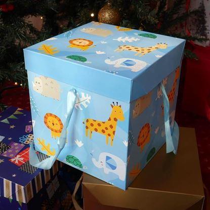 Imaginea Cutie de cadou 22 cm 
