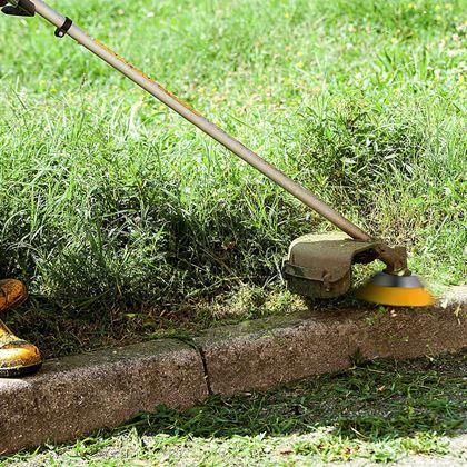 Imaginea din Perie de nailon pentru motocoasă