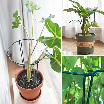 Imaginea din 2 bucăți Suporturi metalice pentru plante - 35 cm