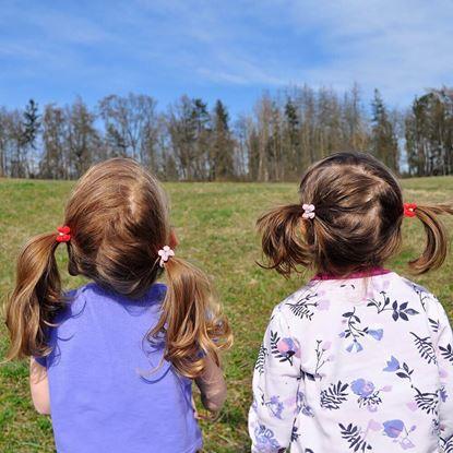 Imaginea Elastice de păr pentru copii 10 buc 