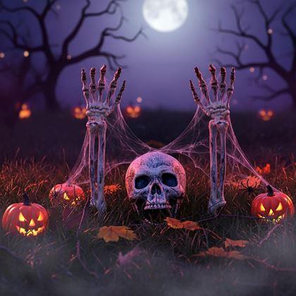 Imaginea din Decorațiuni pentru grădină - schelet