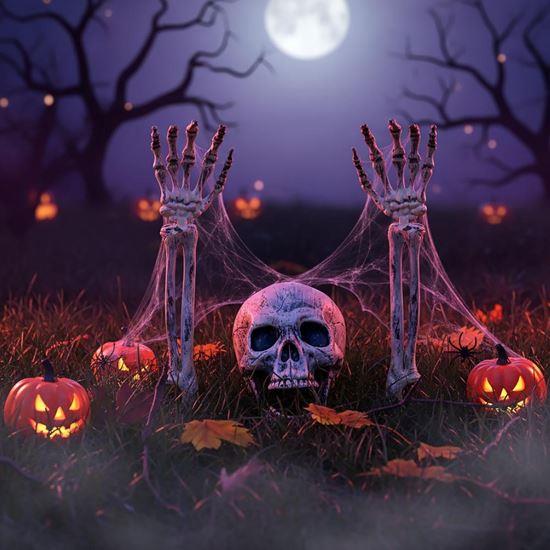 Imaginea din Decorațiuni pentru grădină - schelet