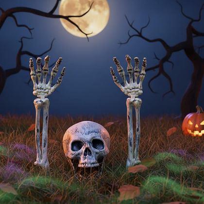 Imaginea din Decorațiuni pentru grădină - schelet