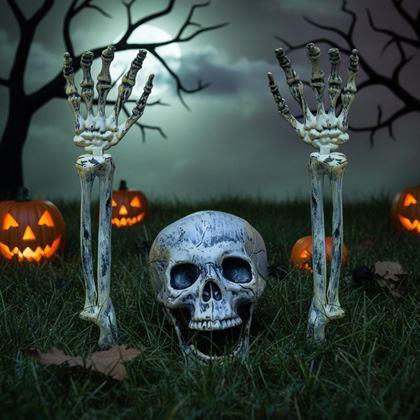 Imaginea din Decorațiuni pentru grădină - schelet