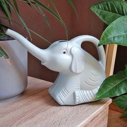 Imaginea Stropitoare - elefant