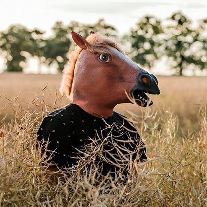 Imaginea din Mască - cap de cal