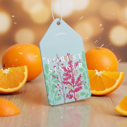 Imaginea din Aromă pentru mașină - portocală