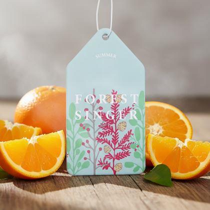 Imaginea din Aromă pentru mașină - portocală