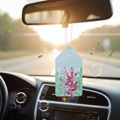 Imaginea din Odorizant auto - portocală