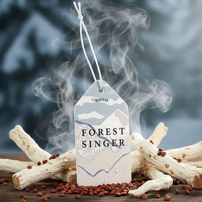 Imaginea Odorizant auto