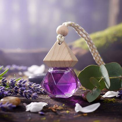 Imaginea din Sticluță de aromă pentru mașină - moviolet