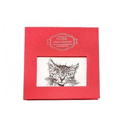 Imaginea din Batist de buzunar din stofă în cutie cadou - pisică