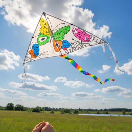 Imaginea din Zbor de colorat cu dragon zburător  - fluturași