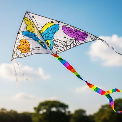 Imaginea din Zbor de colorat cu dragon zburător  - fluturași