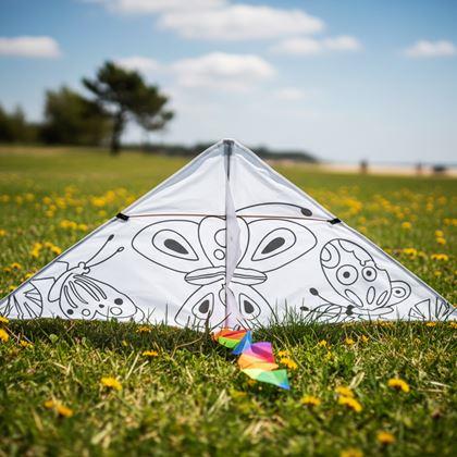 Imaginea din Zbor de colorat cu dragon zburător  - fluturași