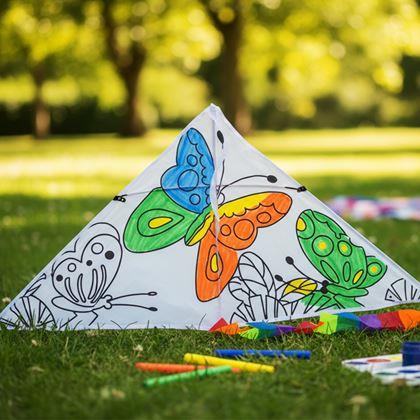 Imaginea din Zbor de colorat cu dragon zburător  - fluturași