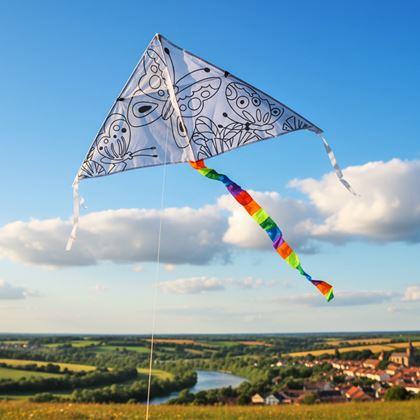 Imaginea din Zbor de colorat cu dragon zburător  - fluturași