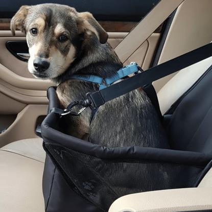 Imaginea Scaun auto pentru animale de companie