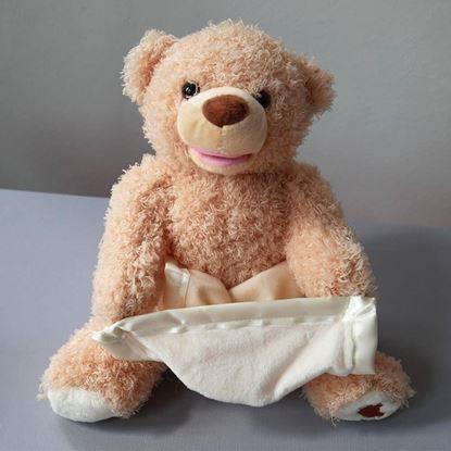 Imaginea Ursuleț interactiv vorbitor