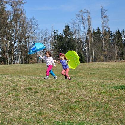 Imaginea din 3D umbrelă copii  -  rechin
