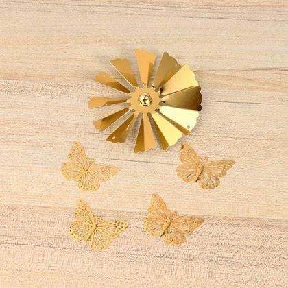 Imaginea din Lustru rotativ  -  fluturi