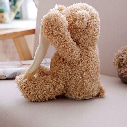 Imaginea Ursuleț interactiv vorbitor